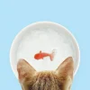 Bol Poisson Rouge-SUCK UK Sale