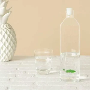Bouteille Tortue-BALVI Best