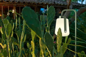 Lampe Rechargeable Balad H 25 Cm - Cactus-FERMOB Cheap