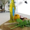 Huile D'Olive Extra Vierge-PIED DE POULE Shop