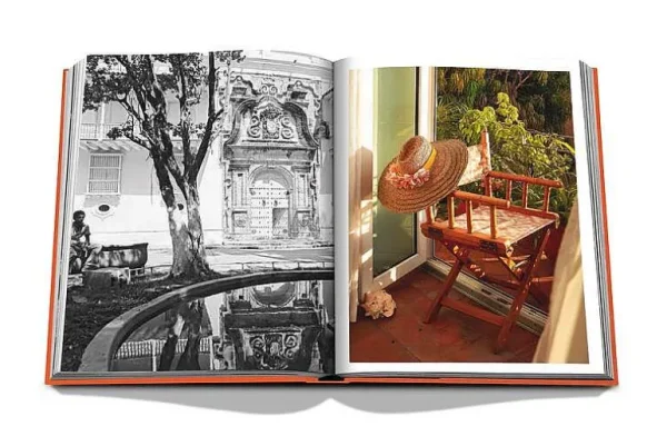 Livre Cartagena Grace-ASSOULINE Online