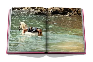 Livre Ibiza Bohemia-ASSOULINE Online