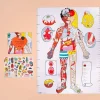 Poster + Stickers - My Body-OMY Flash Sale