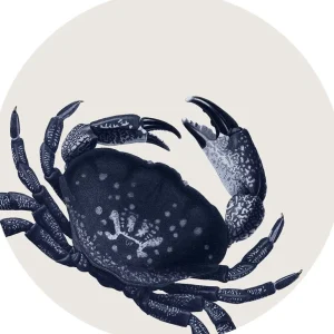Set De Table Crabe-PODEVACHE New