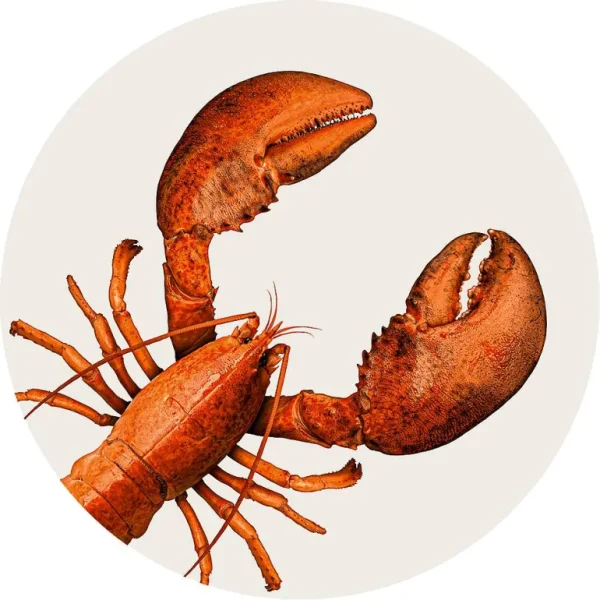 Set De Table Langouste-PODEVACHE Clearance