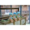 Sonny Angel Figurine 11E Anniversaire-BABY WATCH Sale