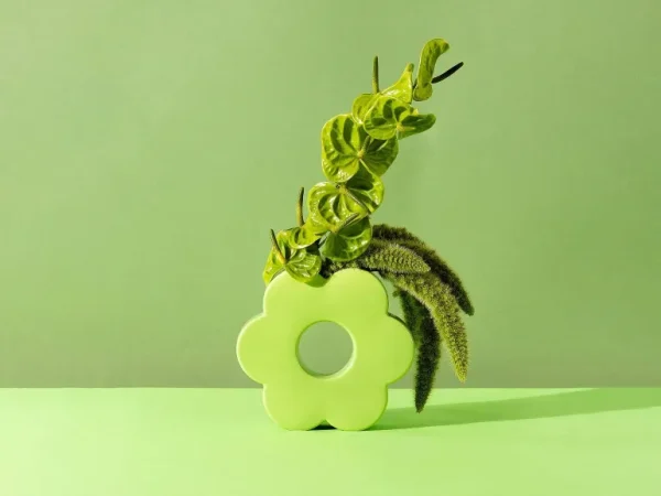 Vase Daisy - Vert-DOIY (MANTA) Flash Sale
